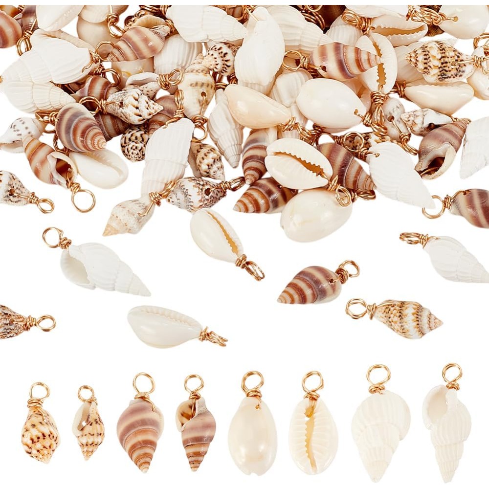 100pcs 4 Styles Natural Shell  - Jewelry Making Kits recension och pris